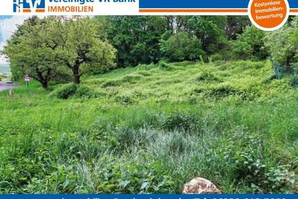 Grundstück zu verkaufen in Dannenfels 99.500,00 € 1185 m²