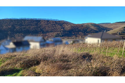 Baugrundstück mit Moseltalblick - Plus viel Platz für Garten - Kita und Grundschule in der Nähe - Neumagen-Dhron