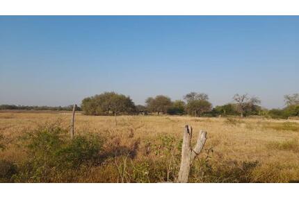 Investitionschance im Herzen Südamerikas- Paraguay - Germering