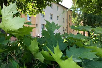 Wohnung zum Mieten in Rötha 320,00 € 53.25 m²