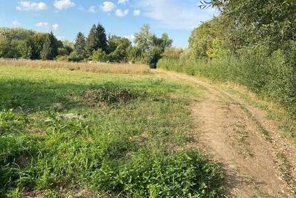 Für Investoren - Grünland in Dieburger Stadt-Nähe