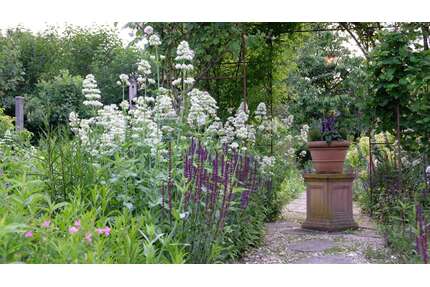 Grundstück zu verkaufen in Nottuln 289.000,00 € 590 m²