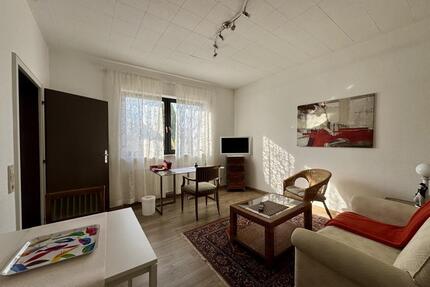 Ideal für Wochenendheimfahrer! Stylisches Business-Apartment in Bestlage von Ingelheim, möbliert - Ingelheim am Rhein