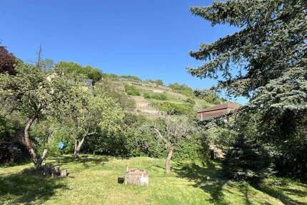 Grundstück zu verkaufen in Radebeul 330.000,00 € 600 m²