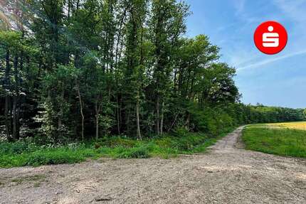 Grundstück in Altdorf 99.000,00 € 19139 m²