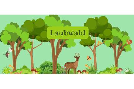 Grundstück zu verkaufen in Rankendorf 21.600,00 € 3600 m²