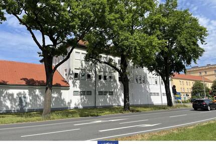 Großzügige Singlewohnung in Senftenberg!