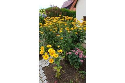 Haus zum Kaufen in Weimar 345.000,00 € 128 m²