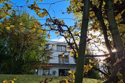 Wohnung zum Kaufen in Wiesbaden 659.000,00 € 115 m²