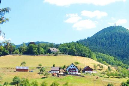 Müller-Bauernhof-Ferienwohnung-Ferienhaus-Urlaub im Schwarzwald - Oppenau