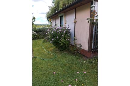 Gepflegter Pachtgarten in 09557 Flöha abzugeben - Limbach-Oberfrohna