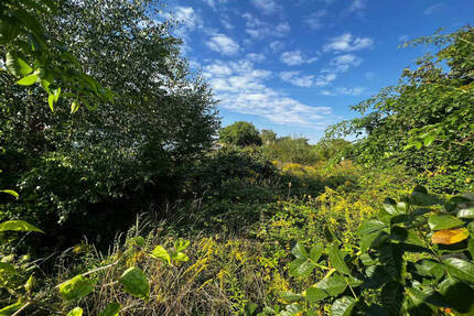 Halle-Diemitz: Großes Baugrundstück für Haus-Neubau, bauträgerfrei - Halle (Saale)-Diemitz