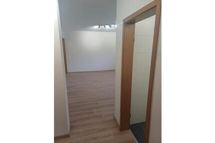 Erstbezug nach Sanierung: 1-Zimmerwohnung: Küche & Bad neu - Würzburg Heuchelhof