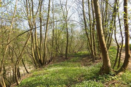 400,00&nbsp;EUR Kaltmiete, ca.&nbsp; 0,00&nbsp;m&sup2; in Arnstein (PLZ: 06456)