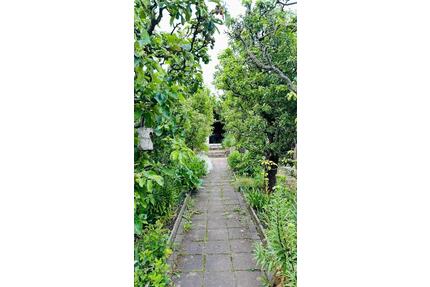 Pachtgarten in Arnstadt, Dornheimer Berg - Amt Wachsenburg