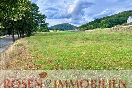Grundstück zu verkaufen in Wald-Michelbach 73.000,00 € 613 m²