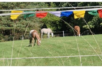 Leben in der Natur mit Tieren - 619.999,00&nbsp;EUR Kaufpreis, ca.&nbsp; 160,00&nbsp;m&sup2; in Wartenberg-Rohrbach (PLZ: 67681)