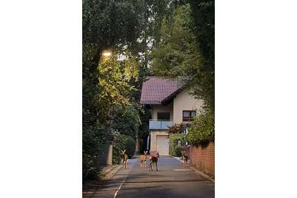 Haus zum Mieten in Eppstein 2.900,00 € 285 m²