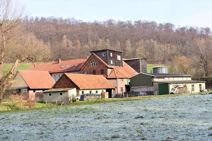 Haus zum Kaufen in Freden 395.000,00 € 298 m²