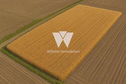 Grundstück in Wiedemar 300.000,00 € 192622 m²