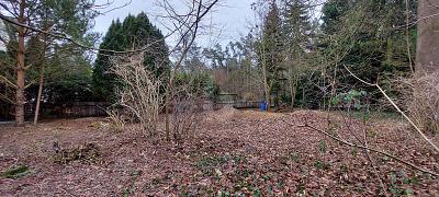 IHR NEUES PROJEKT IN IDYLLISCHER LAGE - Berlin-Bohnsdorf