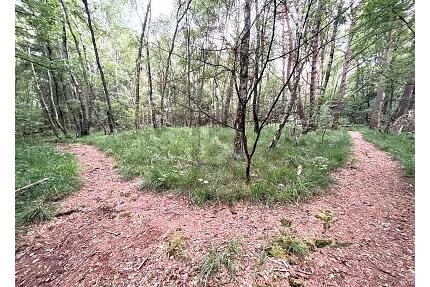 ATTRAKTIV FÜR FREIZEIT ODER IDEAL FÜR PROJEKTIERER - Pinneberg