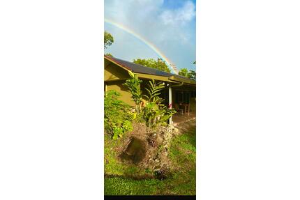 Haus mit Grundstück in Costa Rica - Oldenburg in Holstein