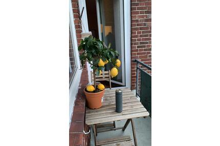 Privat:super zentrale 2,5Zi-Wohnung zw. AlsterInnenstadt - Hamburg Hohenfelde