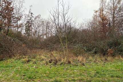 Grundstück zu verkaufen in Dannenfels 6.990,00 € 995 m²