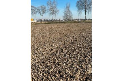 Garten, Schrebergarten, Grundstück - Köln Innenstadt