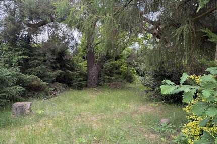 Grundstück zu verkaufen in Birkenwerder 315.000,00 € 775 m²