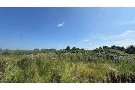 Attraktives Baugrundstück (796 m²) in Seestermühe - Wohnen im Dorf