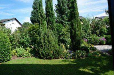 Wohnung zum Mieten in Baden-Baden 330,00 € 21.38 m²