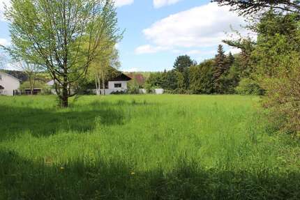 Grundstück zu verkaufen in Obersinn 205.500,00 € 4209 m²