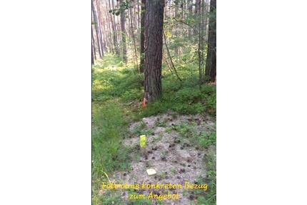 Wald Höchstadt 96172 Schirnsdorf Pommersfelden Miteigentumsanteil - Mühlhausen