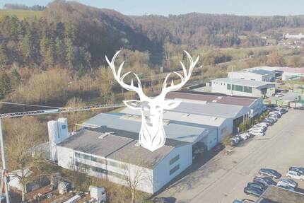 Vielseitiges Gewerbeareal mit Lager-, Produktions-, Büro- und Außenflächen inkl. vermietetem Fitnessstudio zu verkaufen - Wutöschingen Degernau