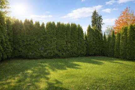 Wohnung zum Kaufen in Meerbusch Osterath 459.000,00 € 99.34 m² - Meerbusch / Osterath