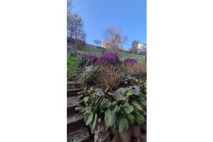 Haus zum Kaufen in Baden-Baden 915.000,00 € 305 m²