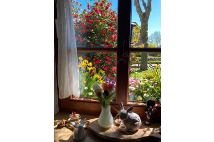 Nordsee Insel Föhr, gem.Ferienwohnung f.2-3 Pers. - Wyk Auf Föhr