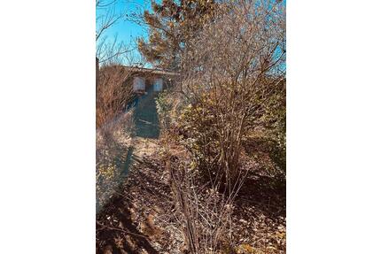 PachtgartenGartenWochenende - 1.200,00&nbsp;EUR Kaltmiete, ca.&nbsp; 20,00&nbsp;m&sup2; in Weimar (PLZ: 99425) Ehringsdorf