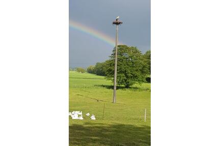 Ferienwohnung bei Schwerin, in Mirow, Natur pur m. Storchenblick - Plate