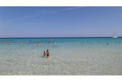 Schönes Apartment in Cala Millor 1. Linie - Dasing