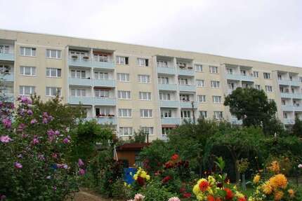 Wohnung zum Mieten in Zeitz 426,00 € 61 m²