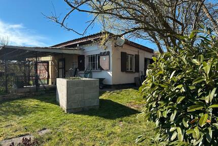 Sehr schöner Pachtgarten in MühlhausenThüringen - Mühlhausen (Thüringen)