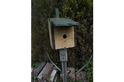 1 Zimmmer haus für junge familie - Nienburg (Weser)