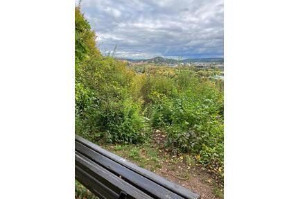 Wochenendgrundstück in Tübingen (Wengerter) - Reutlingen Reutlingen (Kernstadt)