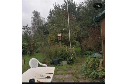 Wilder Schrebergarten Gartenanlage Ruhetal - Husum