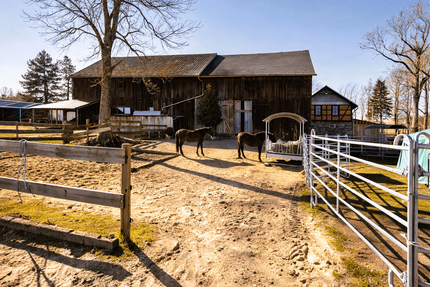 Haus zum Kaufen in Rosenthal am Rennsteig 790.000,00 € 300 m²