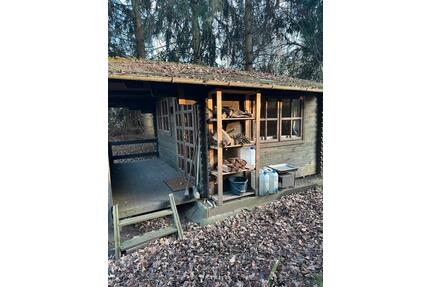 Blockhaus und Grundstück allein Lage in 45307 Essen zu mieten