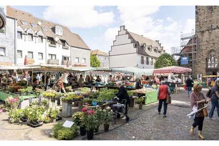 Haus zum Kaufen in Schwerte 425.000,00 € 511 m²